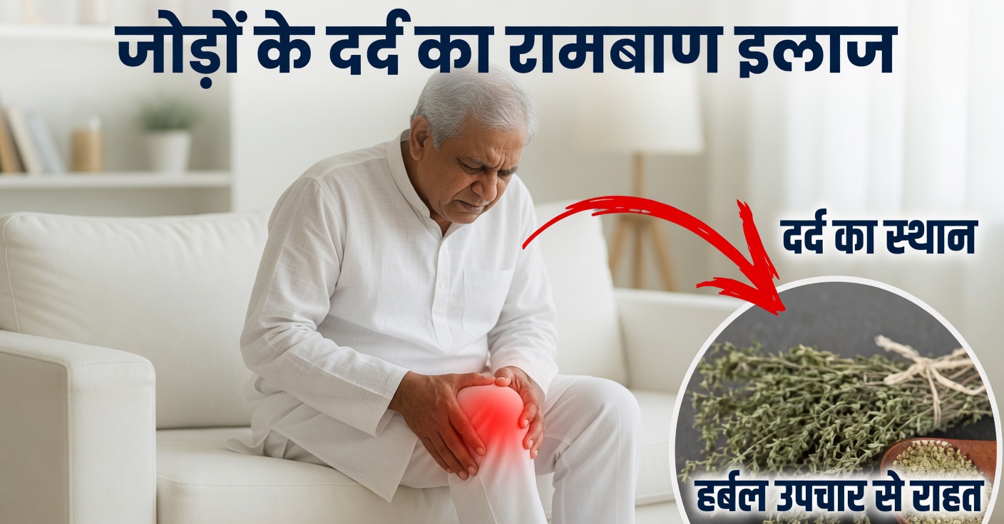 थाइम: घुटनों के उपास्थि पुनर्जनन के लिए प्राकृतिक उपाय