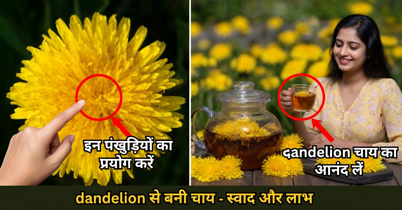 डैंडेलियन के लाभ: गुण और प्राकृतिक व्यंजन