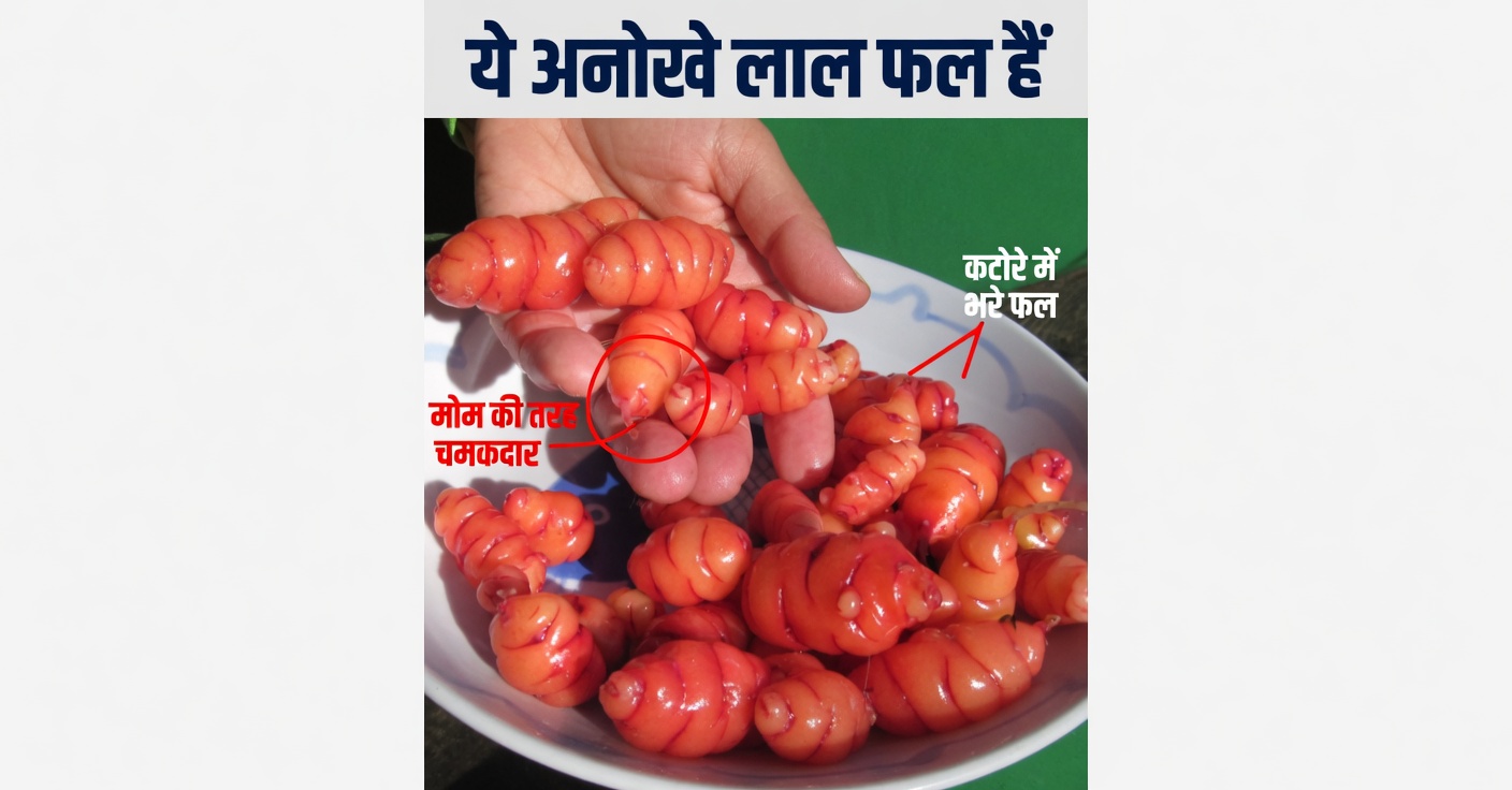 काबुली चना और अंडे: प्रोटीन से भरपूर, मांस-मुक्त विकल्प