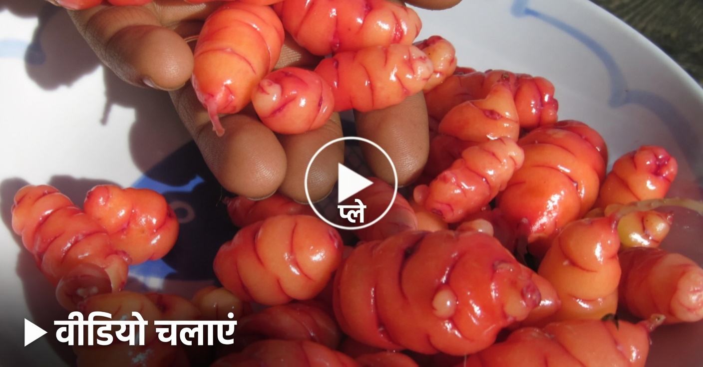 काबुली चना और अंडे: प्रोटीन से भरपूर, मांस-मुक्त विकल्प