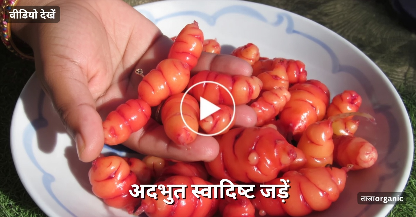 हिबिस्कस चाय के प्राकृतिक वजन घटाने के फायदों की खोज करें