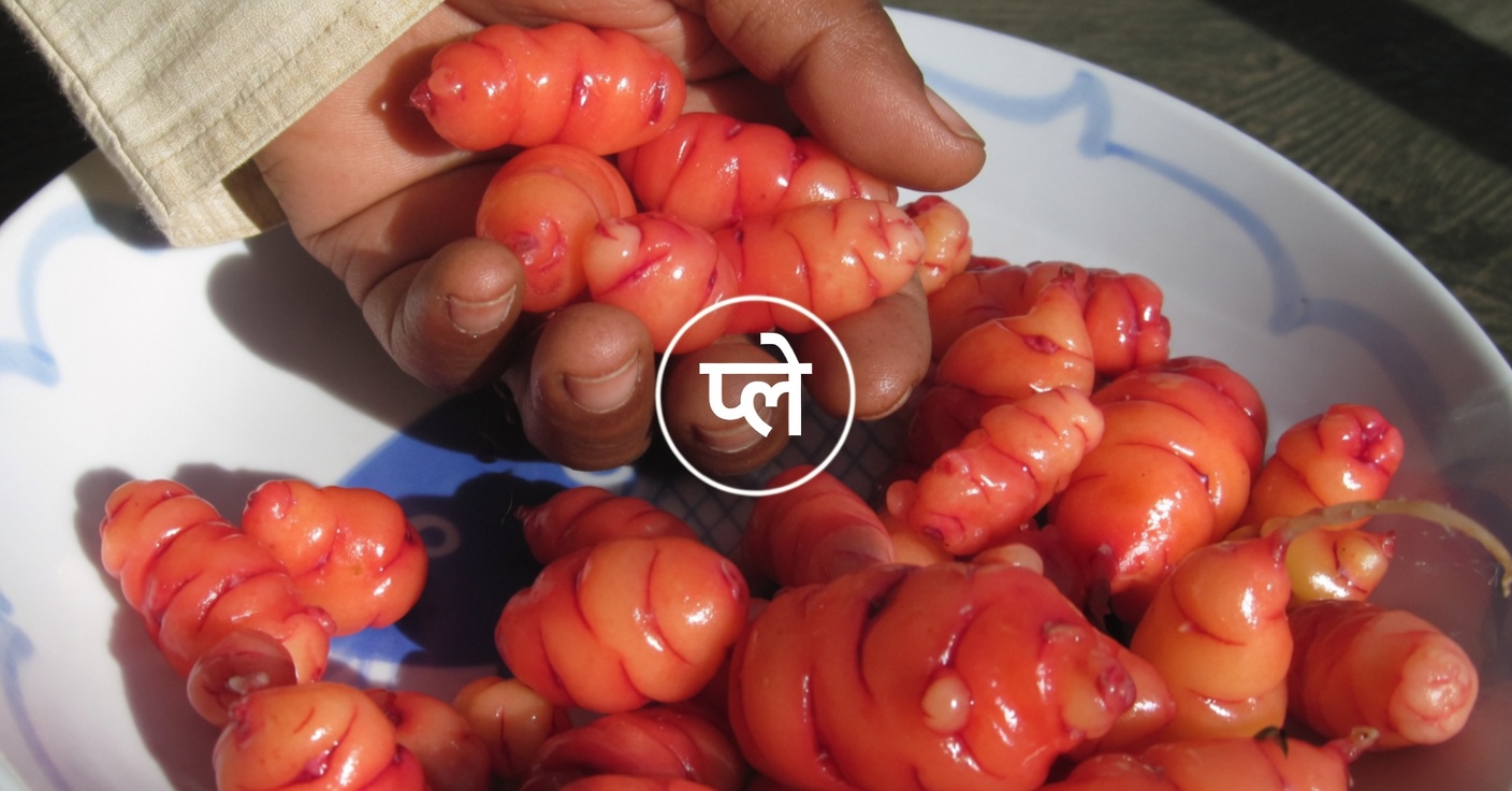 हिबिस्कस चाय के प्राकृतिक वजन घटाने के फायदों की खोज करें