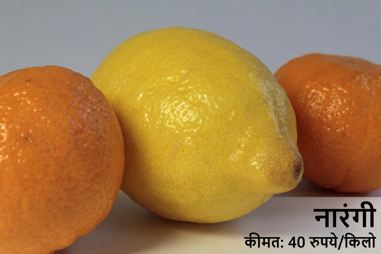 सिर्फ 24 घंटों में अपना उपास्थि पुनः बनाएँ उस राज़ से, जिसे एक अस्थि रोग विशेषज्ञ डॉक्टर ने उजागर किया है