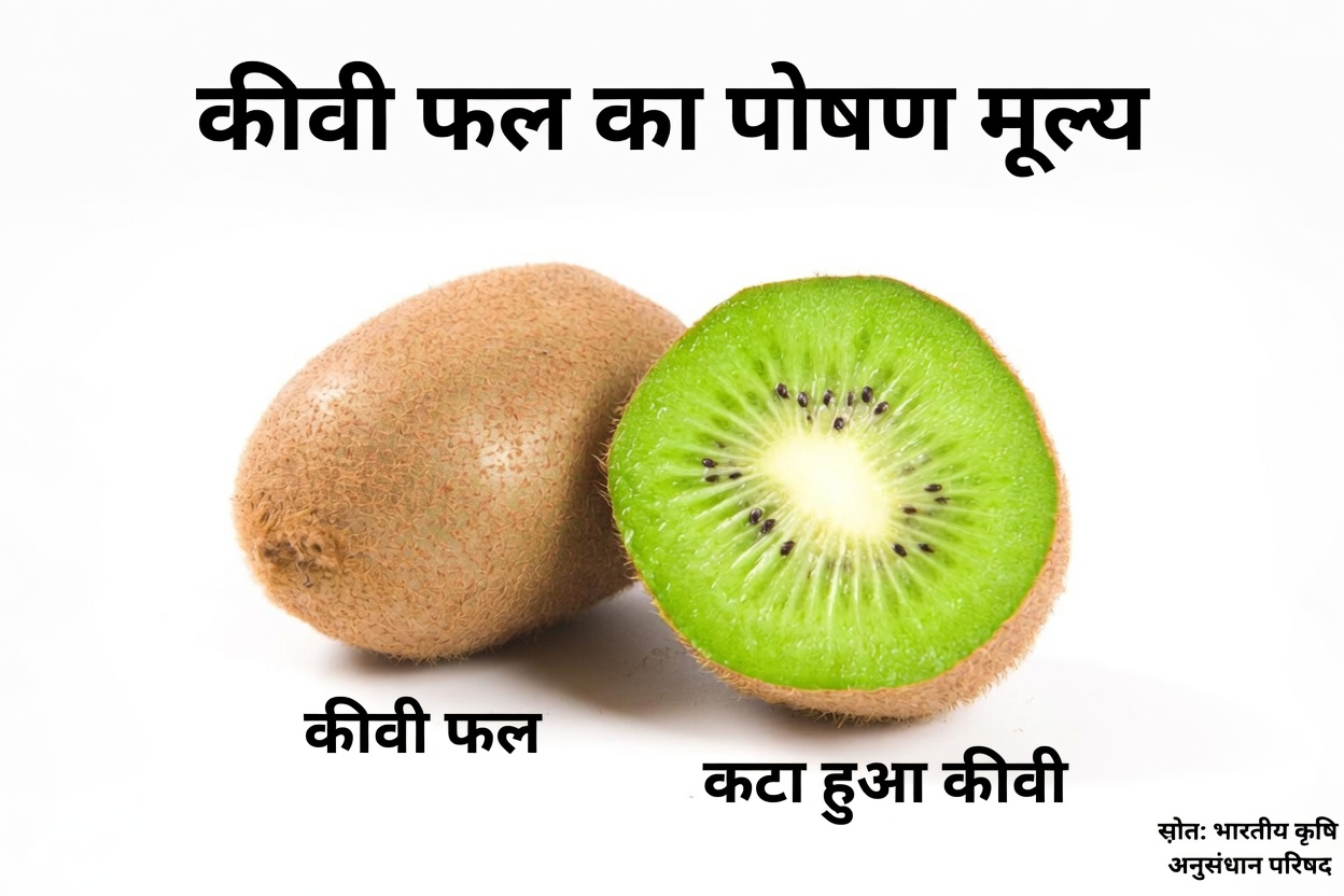 60 के बाद आपकी मांसपेशियों की रक्षा करने वाले 7 रात में खाने वाले फल (सारकोपेनिया को प्राकृतिक रूप से रोकें)