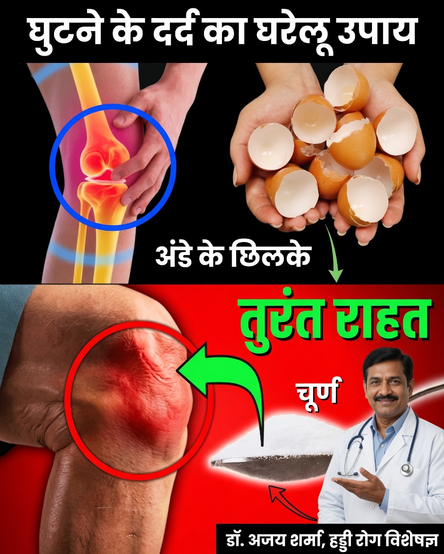 अंडों के छिलके फेंकना बंद करें: बेहतर स्वास्थ्य और अधिक हरित घर के लिए एक सरल प्राकृतिक रहस्य