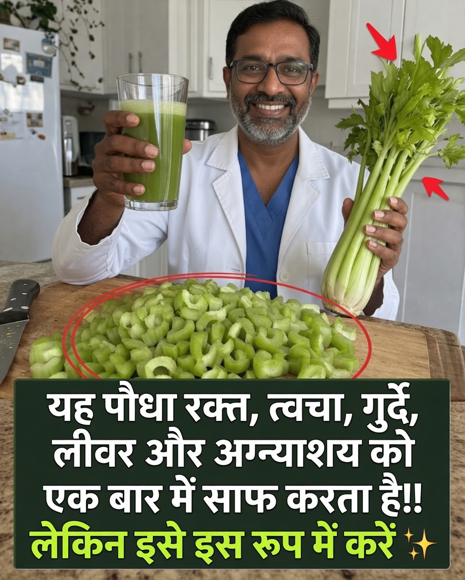 घर पर अजवाइन का जूस कैसे बनाएं: एक ताज़ा और स्वस्थ दैनिक आदत के लिए सरल सुझाव
