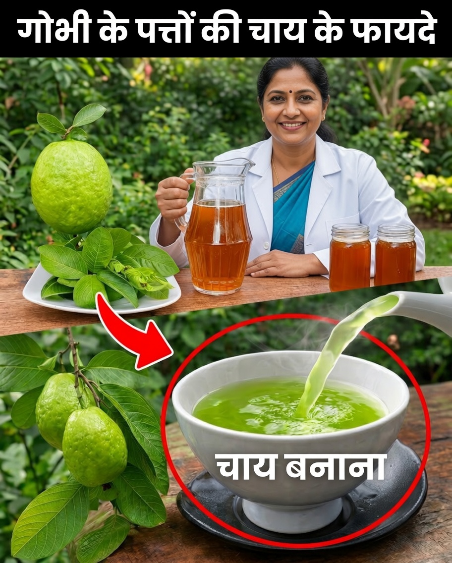 17 कारण सप्ताह में दो बार अमरूद के पत्तों की चाय पीने के लिए