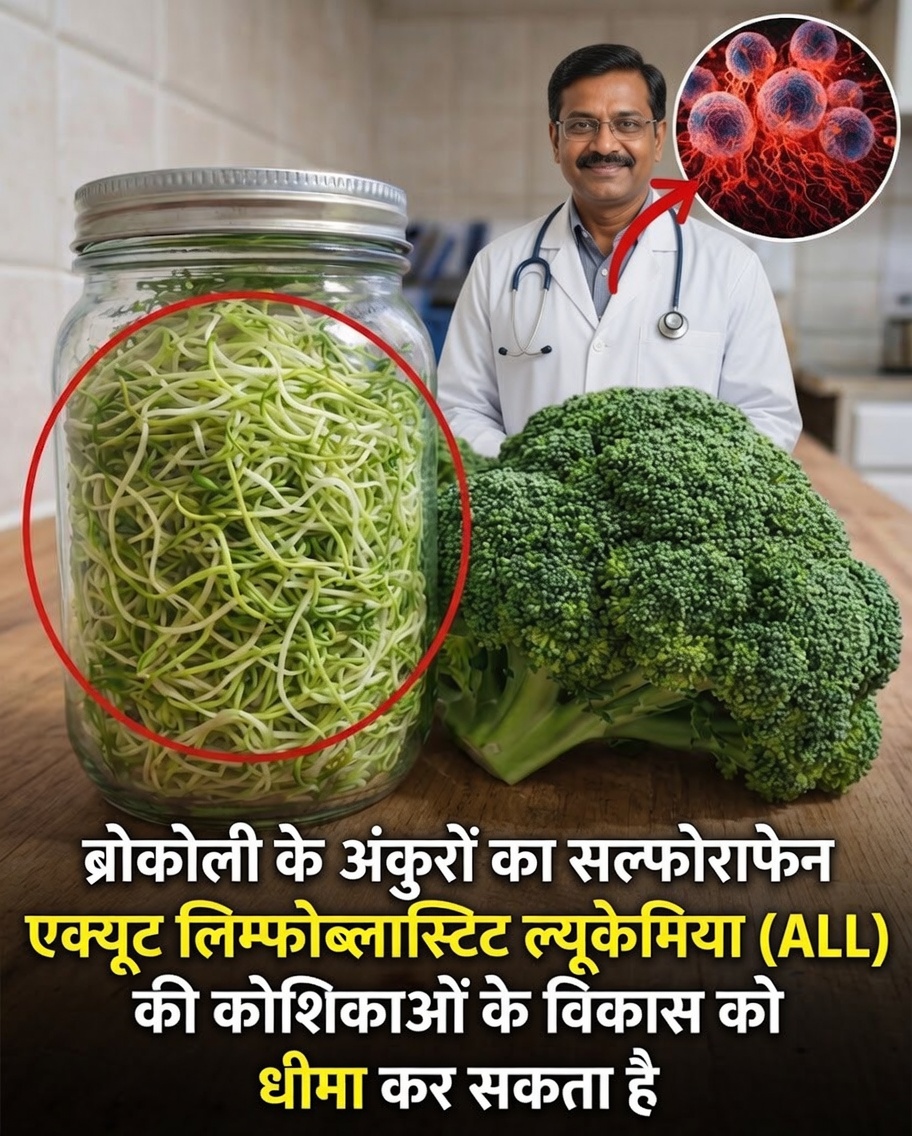 क्या एक आम वनस्पति का एक यौगिक तीव्र लिम्फोब्लास्टिक ल्यूकेमिया के समर्थन में नई संभावनाएँ ला सकता है?