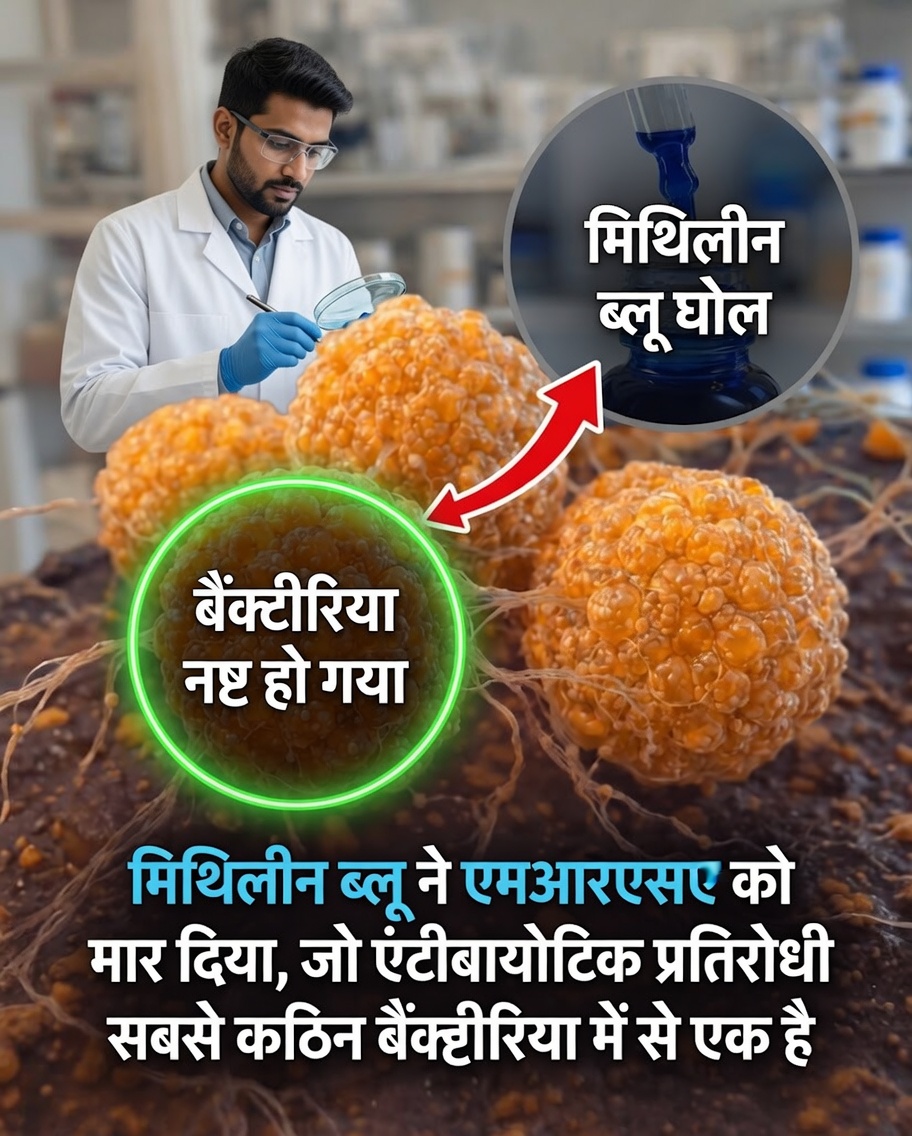 मिथाइलीन ब्लू और एंटीबायोटिक दवाओं के प्रति सबसे प्रतिरोधी बैक्टीरिया में से एक के बारे में आश्चर्यजनक खोज
