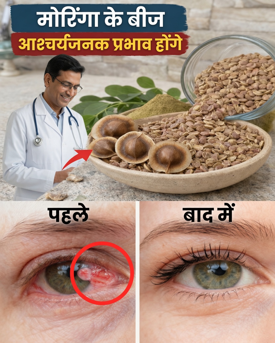 मोरिंगा के बीजों की छिपी शक्ति को उजागर करें: 12 परिवर्तनकारी लाभ, जिन्हें विज्ञान अब पुष्टि करना शुरू कर रहा है
