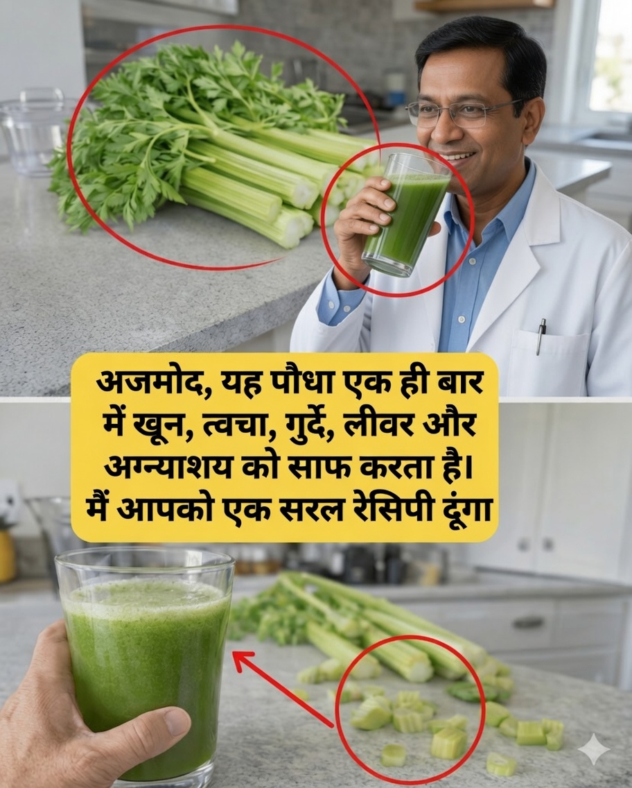 Suco de अजवाइन: क्या यह सरल हरा पेय आपके शरीर की प्राकृतिक विषहरण प्रक्रियाओं का समर्थन कर सकता है?