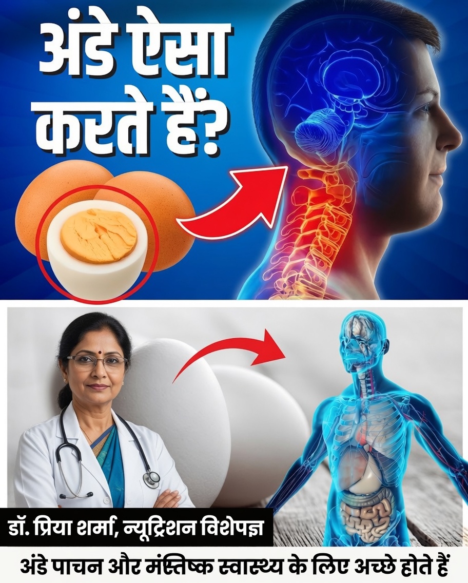 जब आप हर दिन अंडे खाते हैं तो आपके शरीर में क्या होता है? 8 चौंकाने वाले फायदे जिन्हें आपको नज़रअंदाज़ नहीं करना चाहिए
