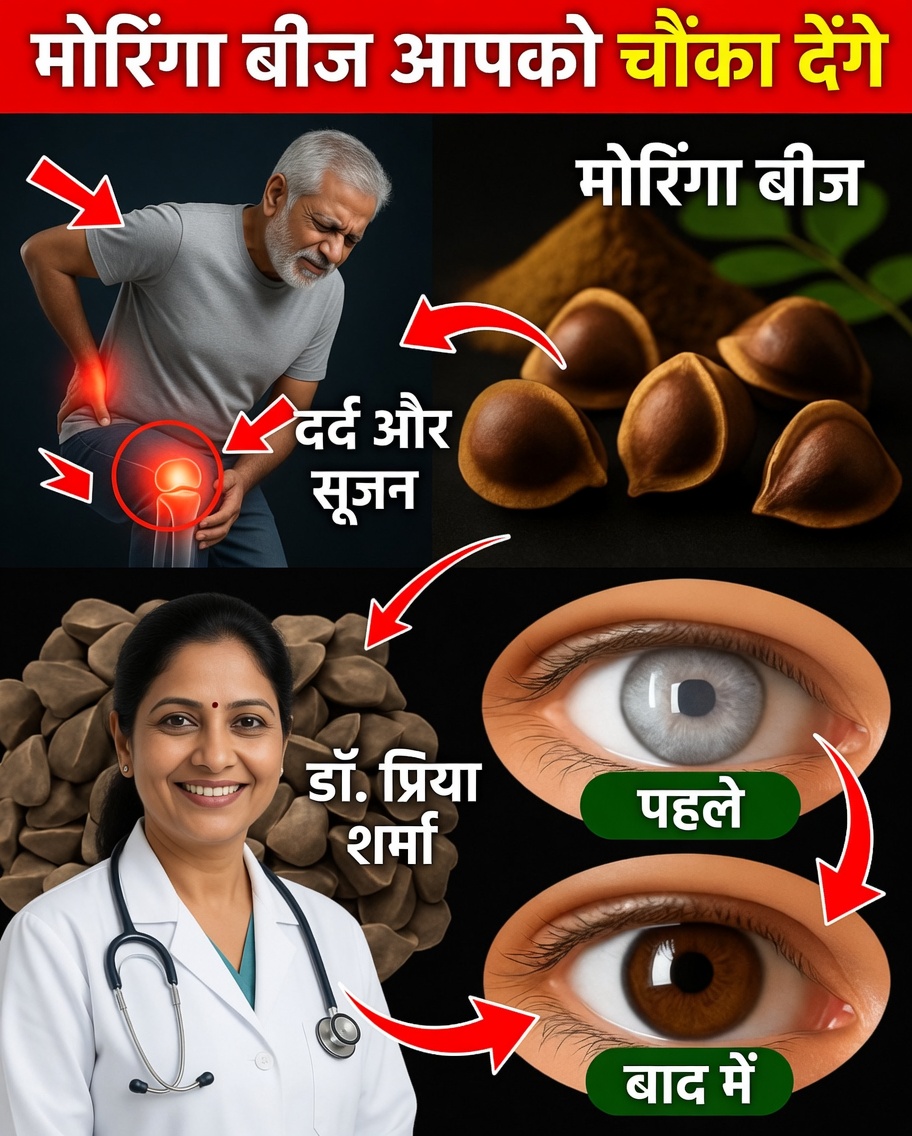 मोरिंगा के बीजों के 12 शक्तिशाली फायदे जिनके बारे में आपने शायद नहीं सुना होगा