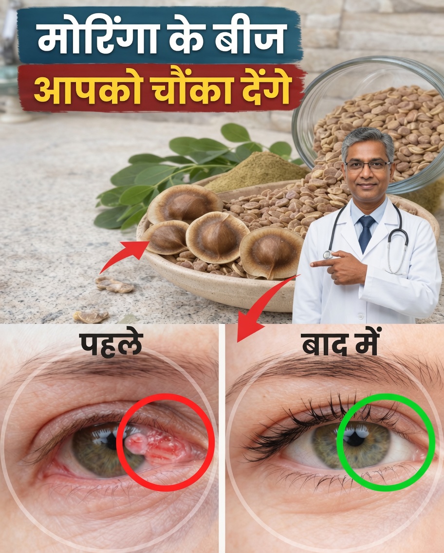 मोरिंगा के बीजों की छिपी शक्ति को अनलॉक करें: 12 परिवर्तनकारी लाभ जिन्हें विज्ञान अब पुष्टि करना शुरू कर रहा है