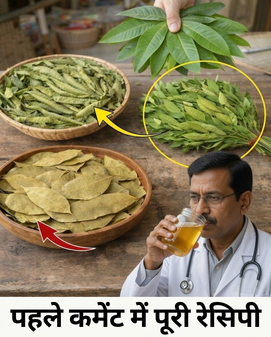 चार औषधीय पत्ते: एवोकाडो, आम, तेजपत्ता और अमरूद — आपके कल्याण के लिए प्रकृति का उपहार