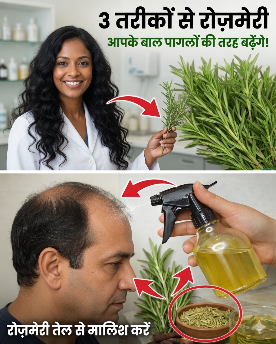 रोज़मेरी इस्तेमाल करने के 3 तरीके: अगर आप इसे हर दिन इस्तेमाल करें तो इस साल आपके बाल बहुत तेज़ी से बढ़ सकते हैं