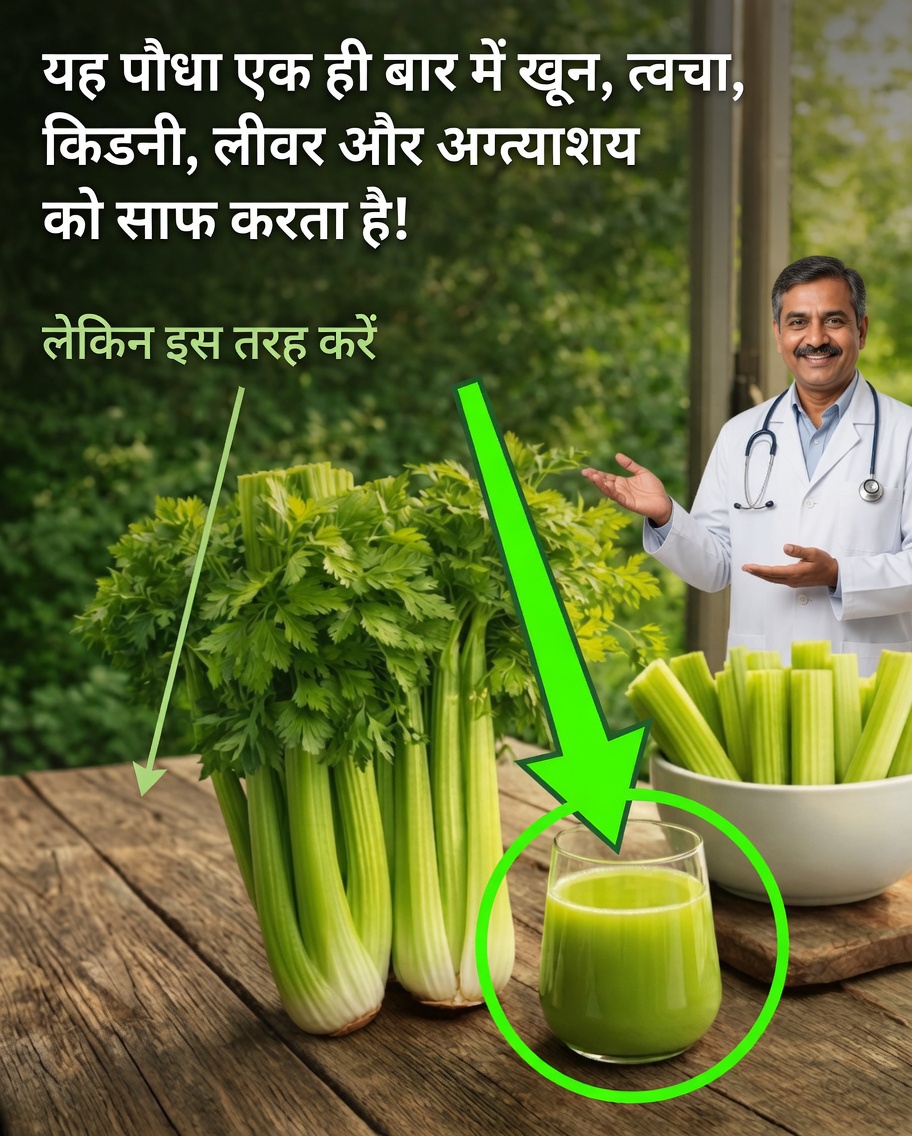 अजवाइन के ताज़गीभरे फ़ायदों की खोज करें: इस पोषक तत्वों से भरपूर सब्ज़ी को अपनी दैनिक दिनचर्या में शामिल करने के लिए एक सरल मार्गदर्शिका