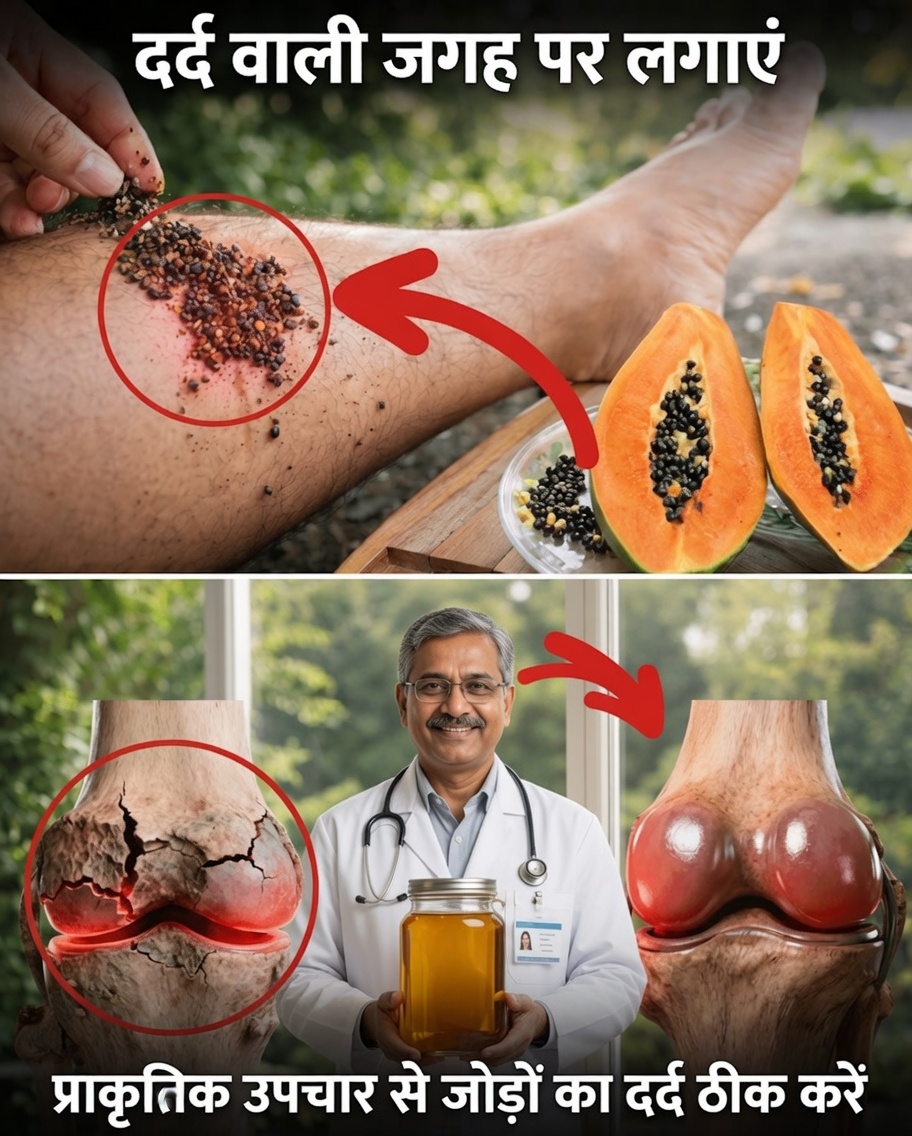 क्या रसोई में मिलने वाला एक साधारण बीज घुटनों, पीठ और रीढ़ की आरामदायक स्थिति में मदद कर सकता है? पपीते के बीजों की छिपी शक्ति जानें