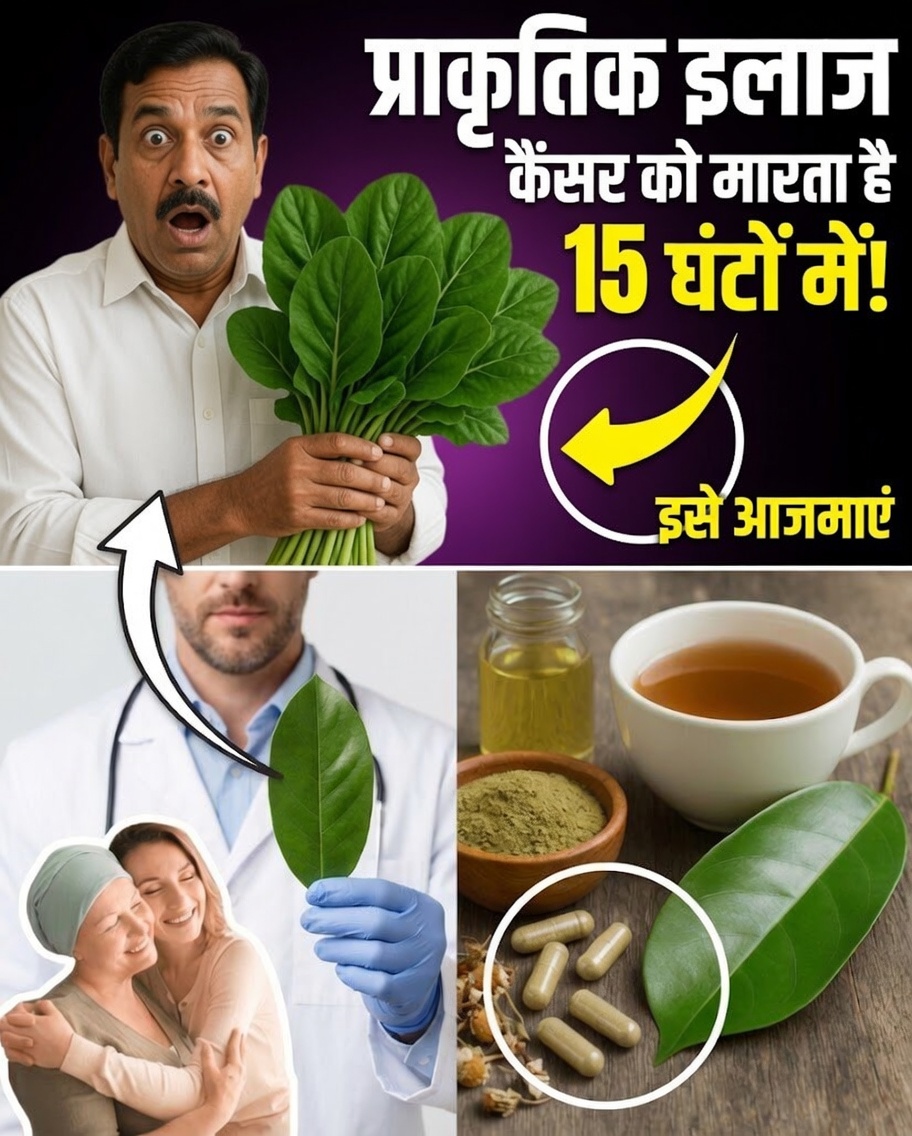 यह प्राचीन पत्ता आधुनिक दौर में फिर से लोकप्रिय हो रहा है — क्या आपको इस पर विचार करना चाहिए?