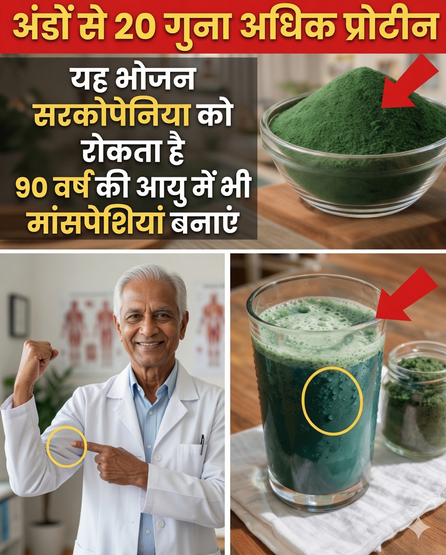 बुज़ुर्ग: 70 के बाद इन 4 वनस्पति प्रोटीन्स के साथ मांसपेशियों का द्रव्यमान बढ़ाएँ (और समय का वह सरल तरीका जो पूरा फर्क डाल देता है)