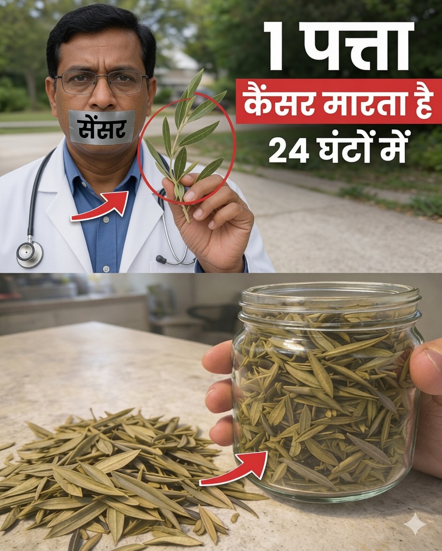 पत्ता जो भुला दिया गया है और आपके शरीर को कैंसर कोशिकाओं से लड़ने में मदद कर सकता है (और 14 और प्राकृतिक रणनीतियाँ जिनके बारे में बहुत कम लोग बात करते हैं)