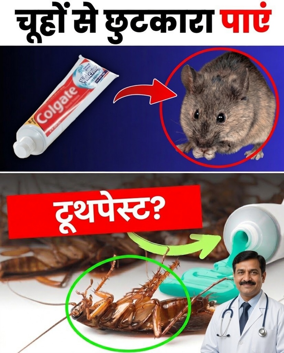 Hack Caseiro Surpreendente: Afaste कीटों को टूथपेस्ट से!