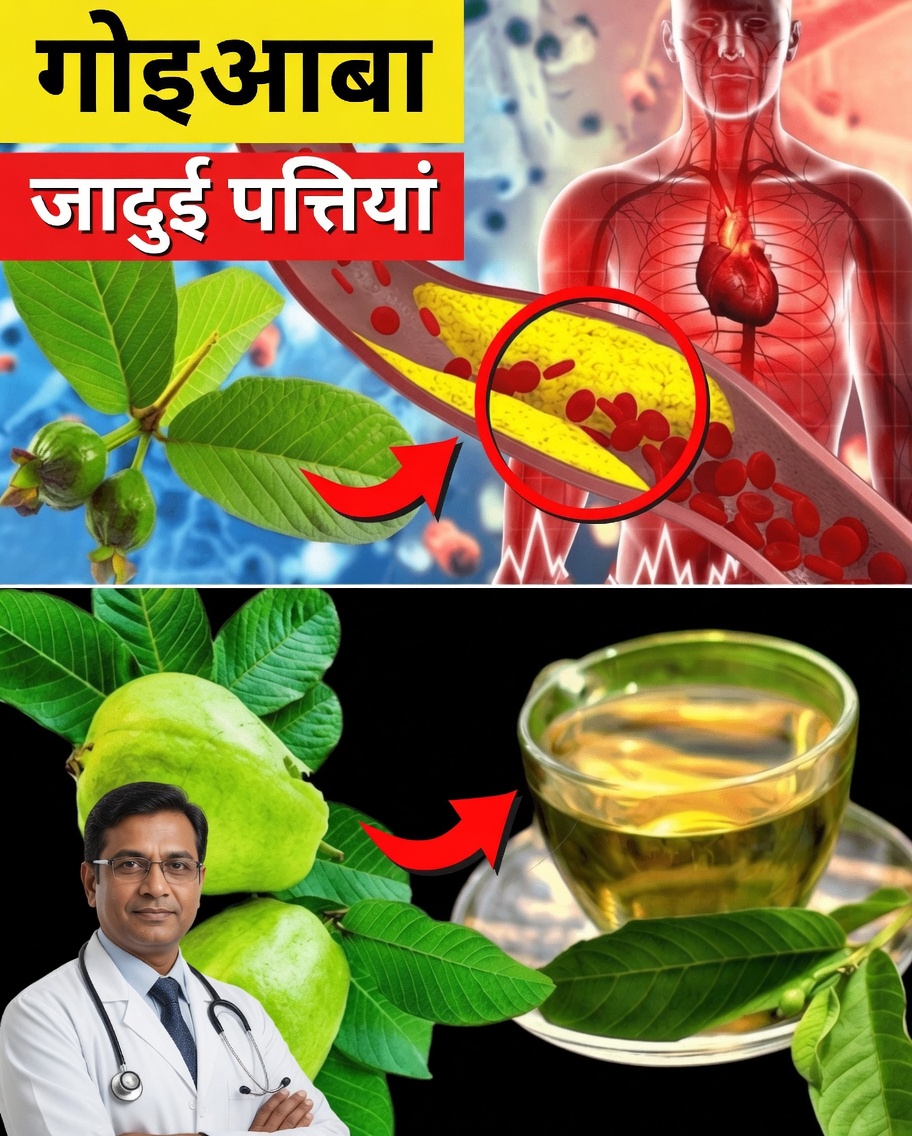 17 शक्तिशाली कारण सप्ताह में दो बार अमरूद के पत्तों की चाय पीने के लिए