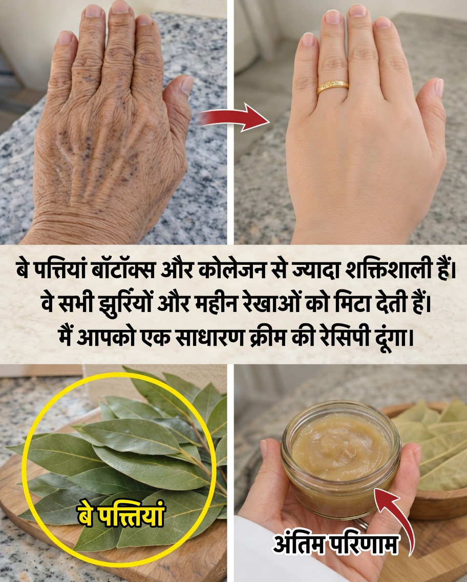 तेज पत्ते का प्राकृतिक रहस्य: यह रोज़मर्रा का मसाला आपके स्वास्थ्य और तंदुरुस्ती को कैसे सहारा दे सकता है