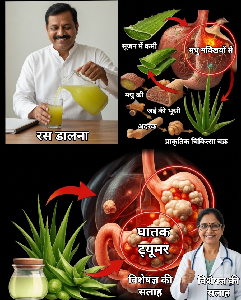 एलोवेरा पानी की शक्ति को अनलॉक करें: इसे अपने दैनिक स्वास्थ्य अनुष्ठान का हिस्सा बनाने के 17 कारण