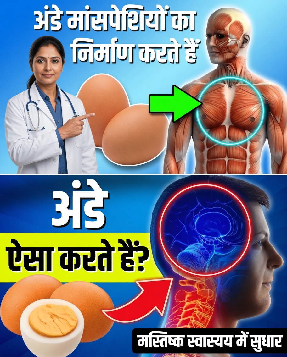 जब आप हर दिन 2 अंडे खाते हैं तो आपके शरीर के साथ क्या होता है?