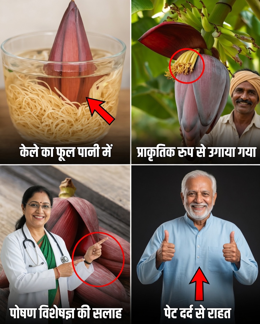 केले के फूल की शक्ति की खोज करें: मध्यम आयु और बुजुर्ग वयस्कों के स्वास्थ्य के लिए 13 प्रभावशाली लाभ