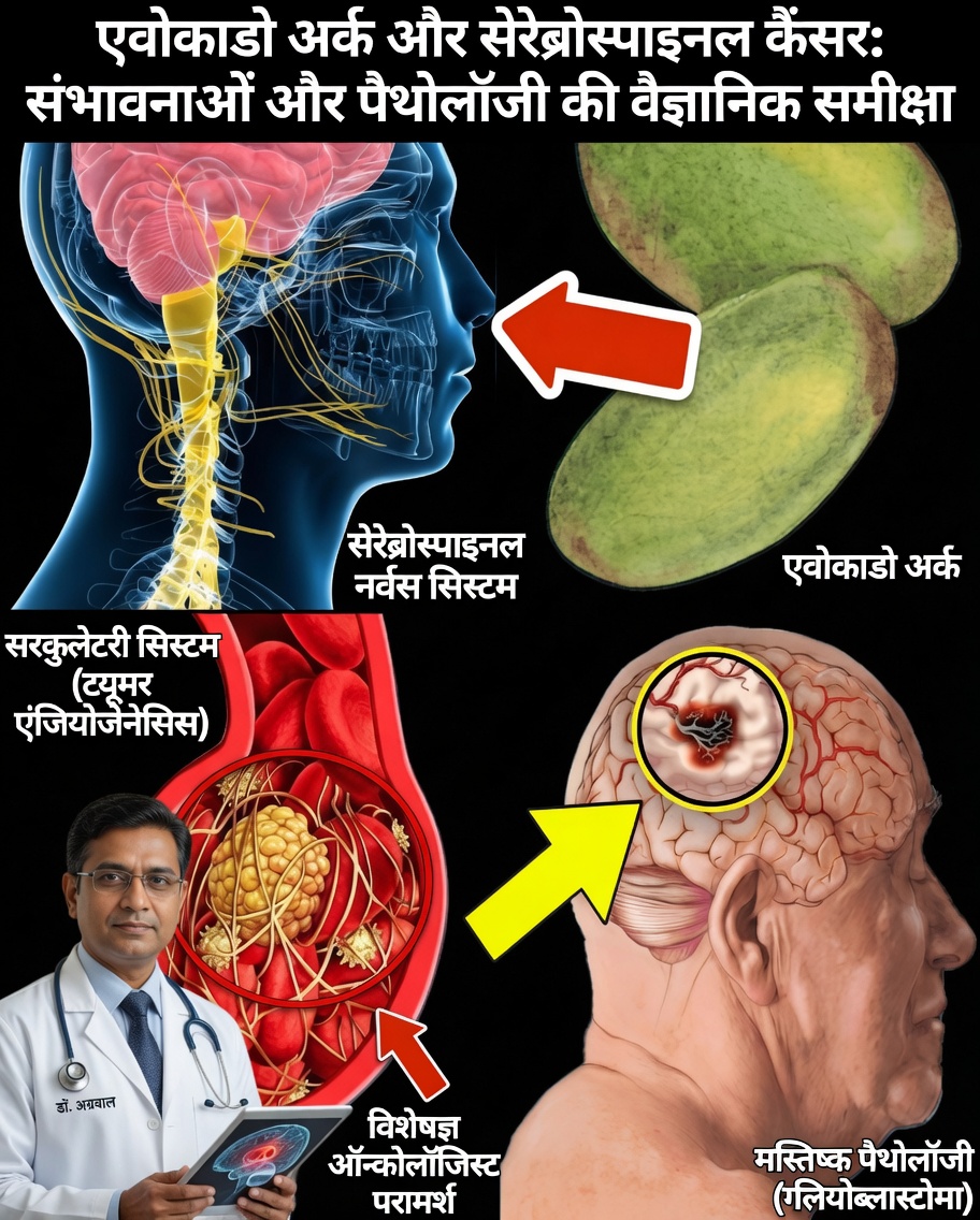 7 शक्तिशाली खाद्य पदार्थ जो प्राकृतिक रूप से तंत्रिका क्षति की मरम्मत में मदद कर सकते हैं