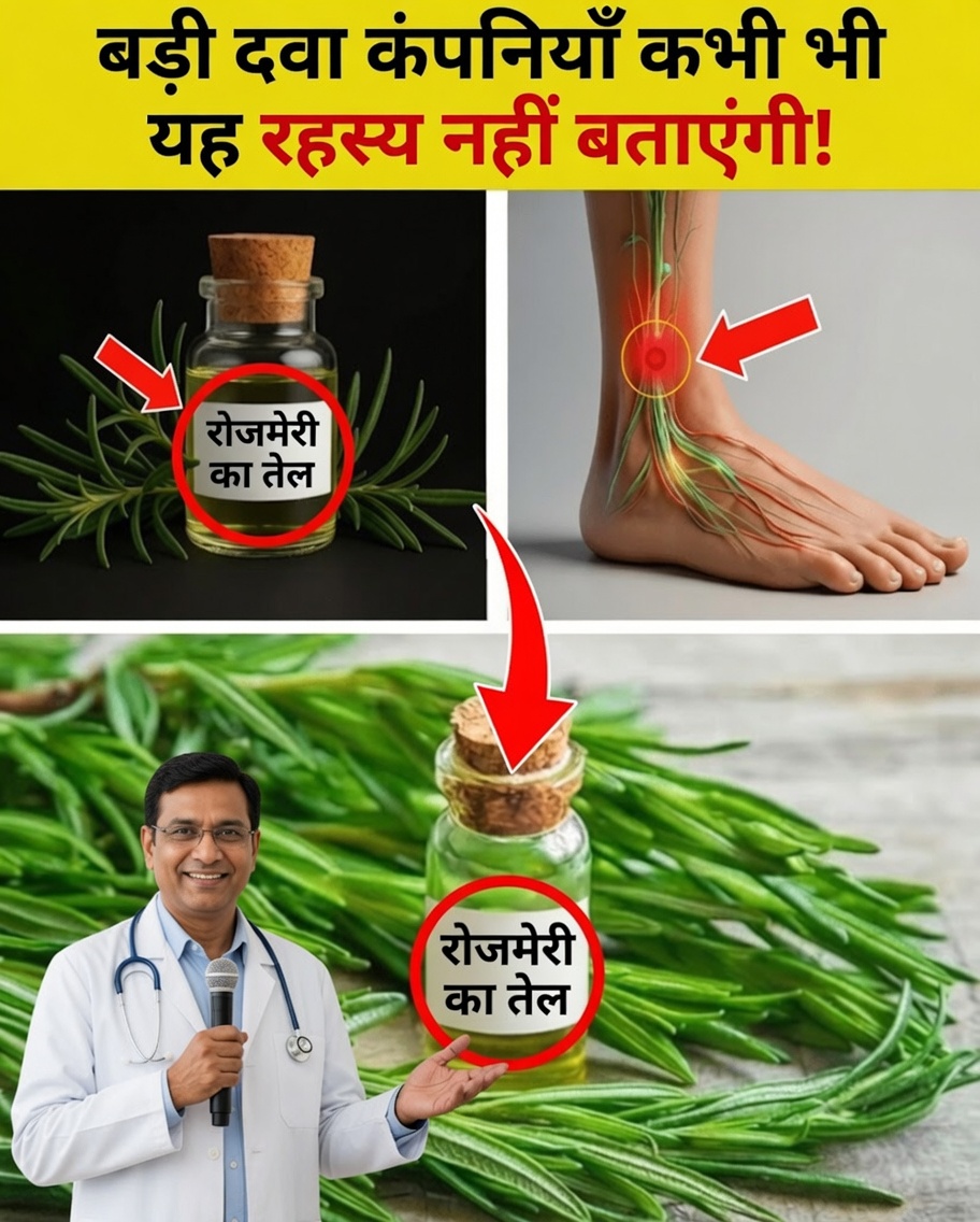 बुज़ुर्ग: इस तरह रोज़मेरी तेल का उपयोग करें और 12 अद्भुत फायदे जानें