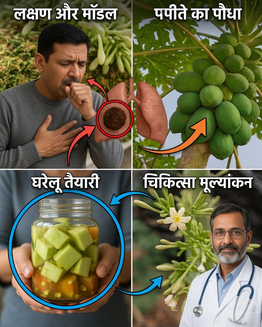फूलदार पपीते के फूलों के 12 अविश्वसनीय फायदे: शहद के साथ पपीते के फूलों का एक जार किसी भी समय आपके पूरे परिवार की मदद कर सकता है