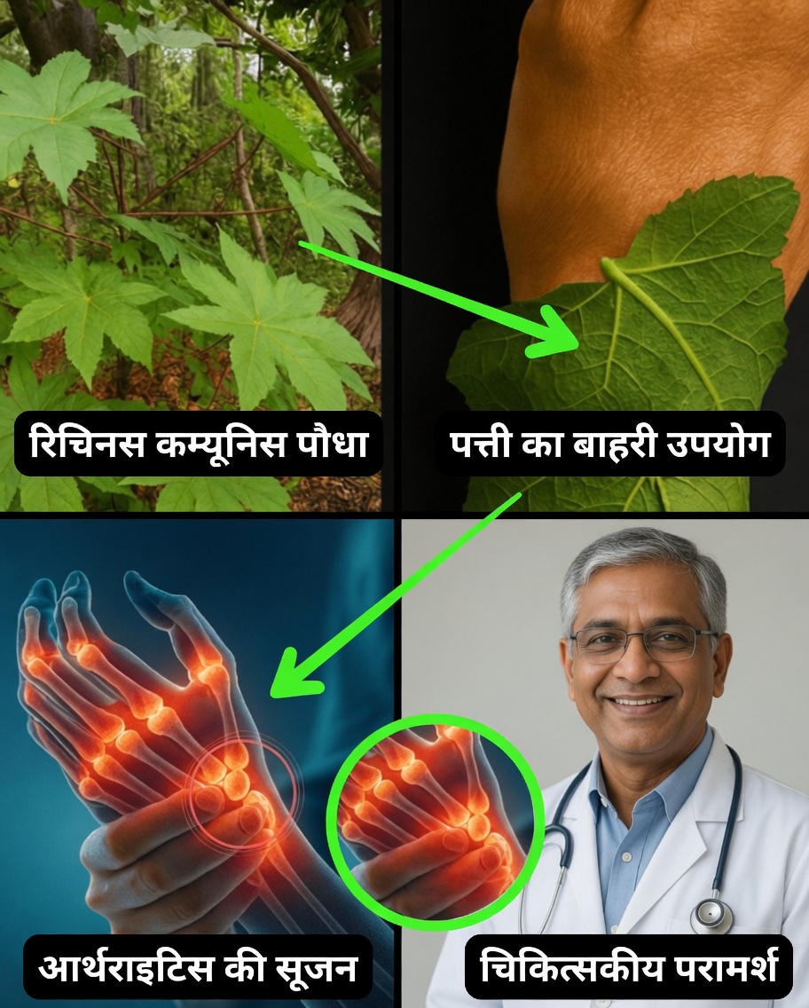 क्या आपने कभी कल्पना की है कि एक साधारण पत्ता दर्द रहित दिनों, दमकती त्वचा और अंतहीन ऊर्जा की कुंजी बन सकता है?