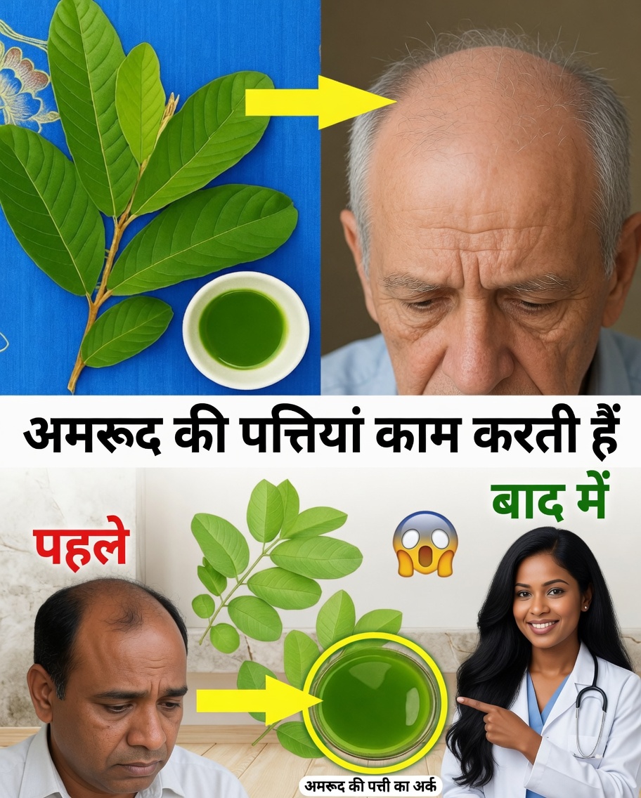 जड़ों से सिरों तक: बालों को पुनर्जीवित करने के लिए अमरूद के पत्ते