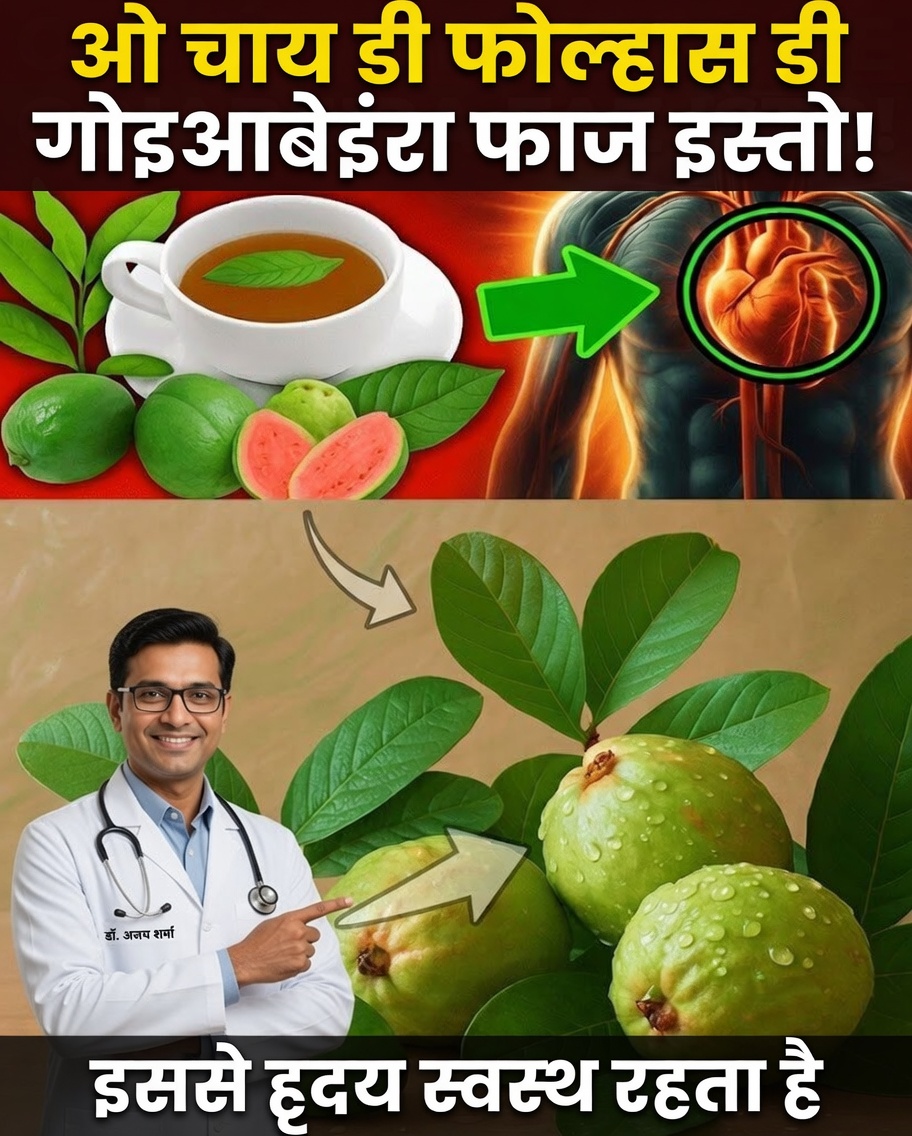अमरूद के पत्तों का प्राचीन रहस्य, जिसे आधुनिक स्वास्थ्य फिर से खोज रहा है