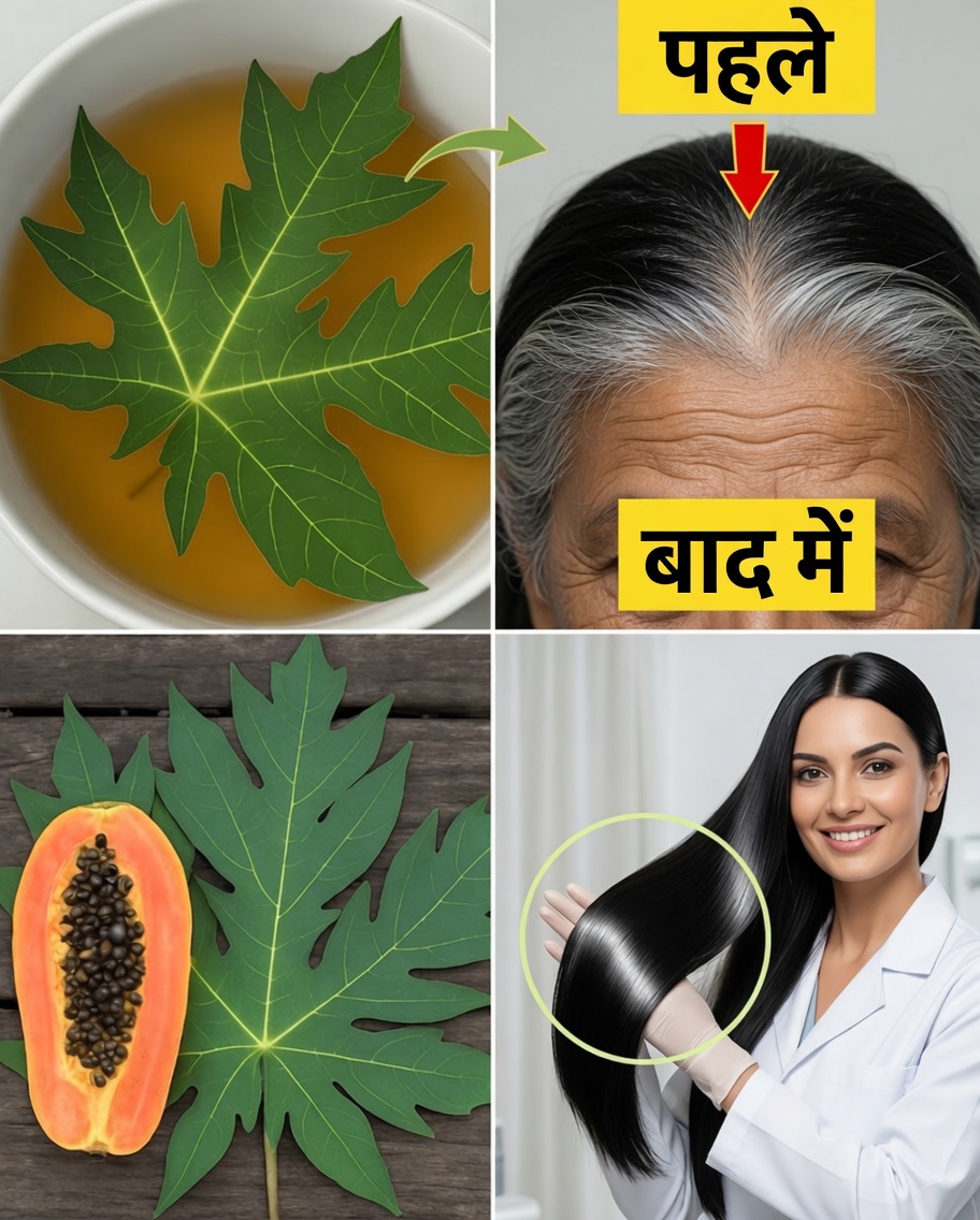 पपीते के पत्ते: रातोंरात बालों को अधिक काला और लंबा करने का प्राकृतिक उपाय