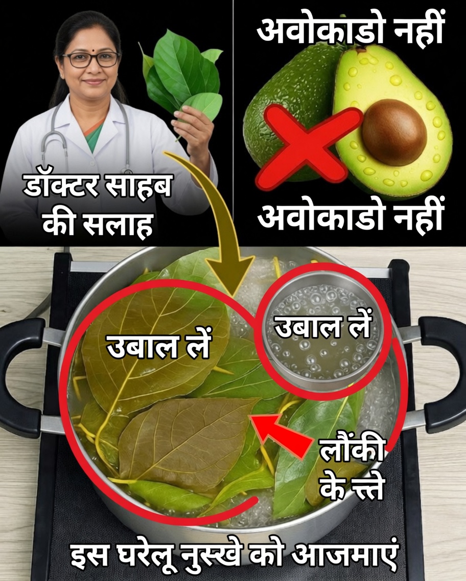 अवोकाडो की पत्तियाँ उजागर: प्राकृतिक सुपरफूड जिसे लगभग कोई नहीं इस्तेमाल करता