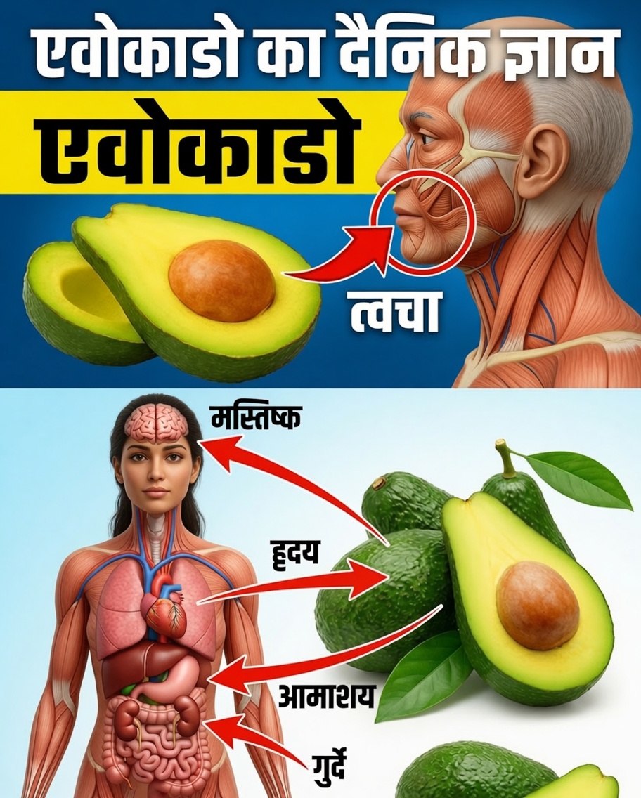 क्या आप एवोकाडो खाने के बारे में सोच रहे हैं? जानिए 9 बातें जो लगभग कोई नहीं बताता