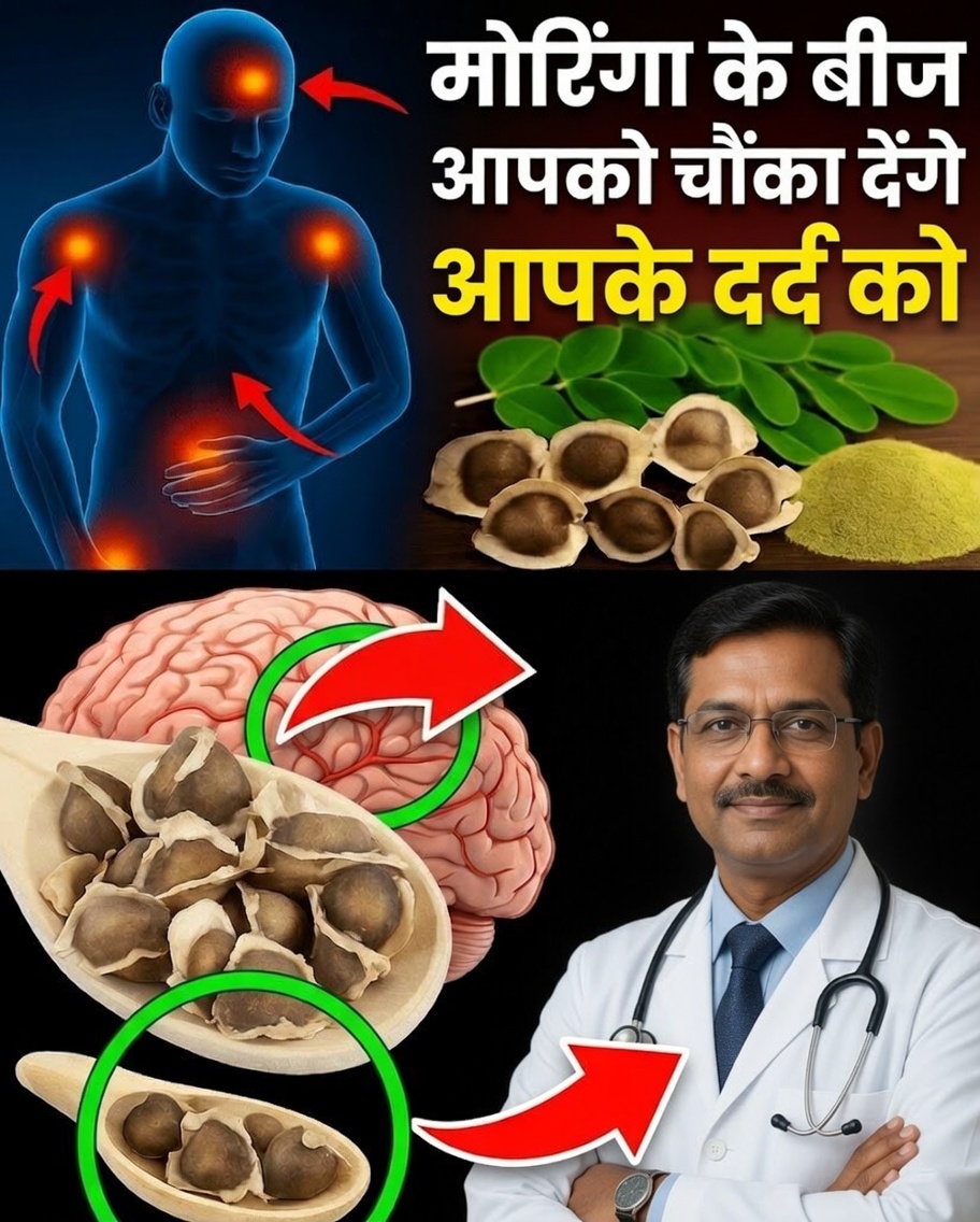 मोरिंगा के बीज आपकी सेहत के लिए एक छुपा हुआ खजाना क्यों हैं