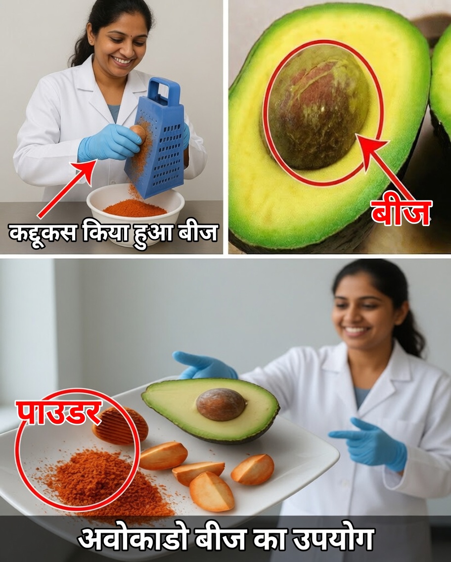 एवोकाडो की गुठली: भूला हुआ पोषण खज़ाना