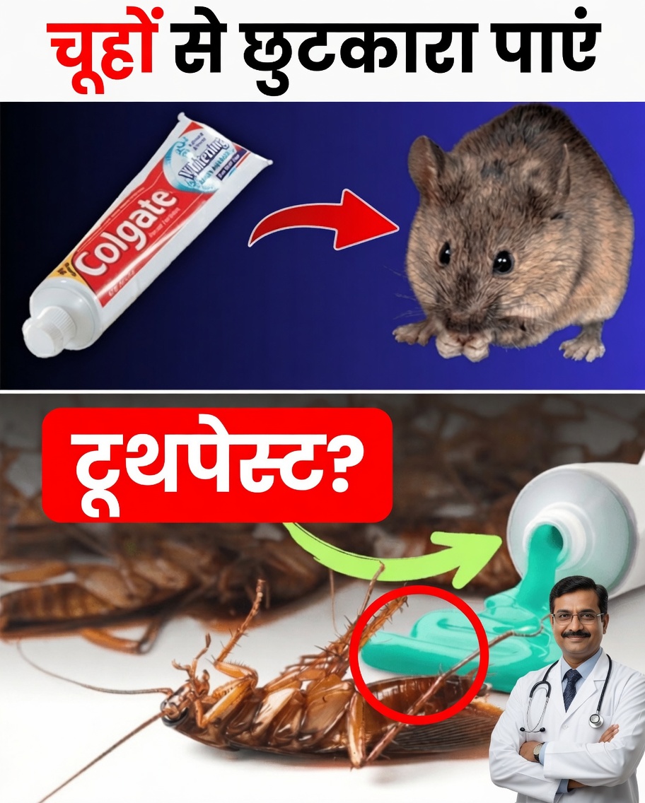हैरान करने वाला टूथपेस्ट का नुस्खा जो घरेलू कीटों को प्राकृतिक रूप से दूर रखने में मदद करता है