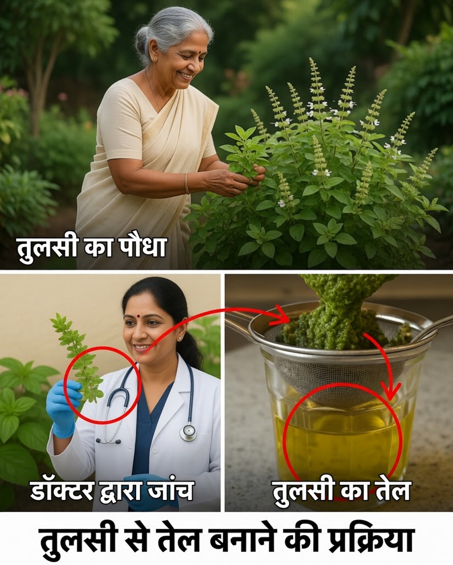 तुलसी के फूल क्यों वह छिपा हुआ प्राकृतिक उपचार हैं जिसे आपको जानना चाहिए