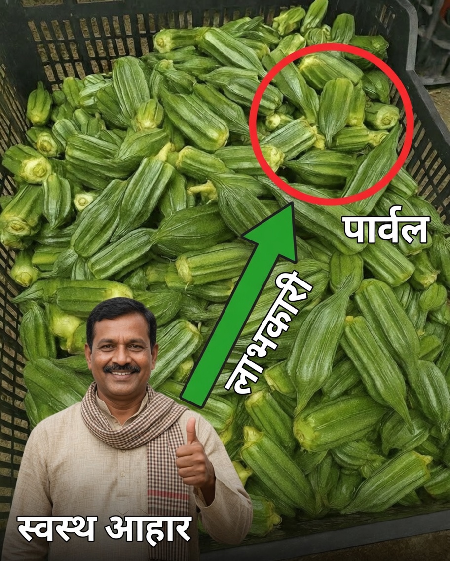 सप्ताह में कई बार भिंडी खाने के 11 चौंकाने वाले फायदे