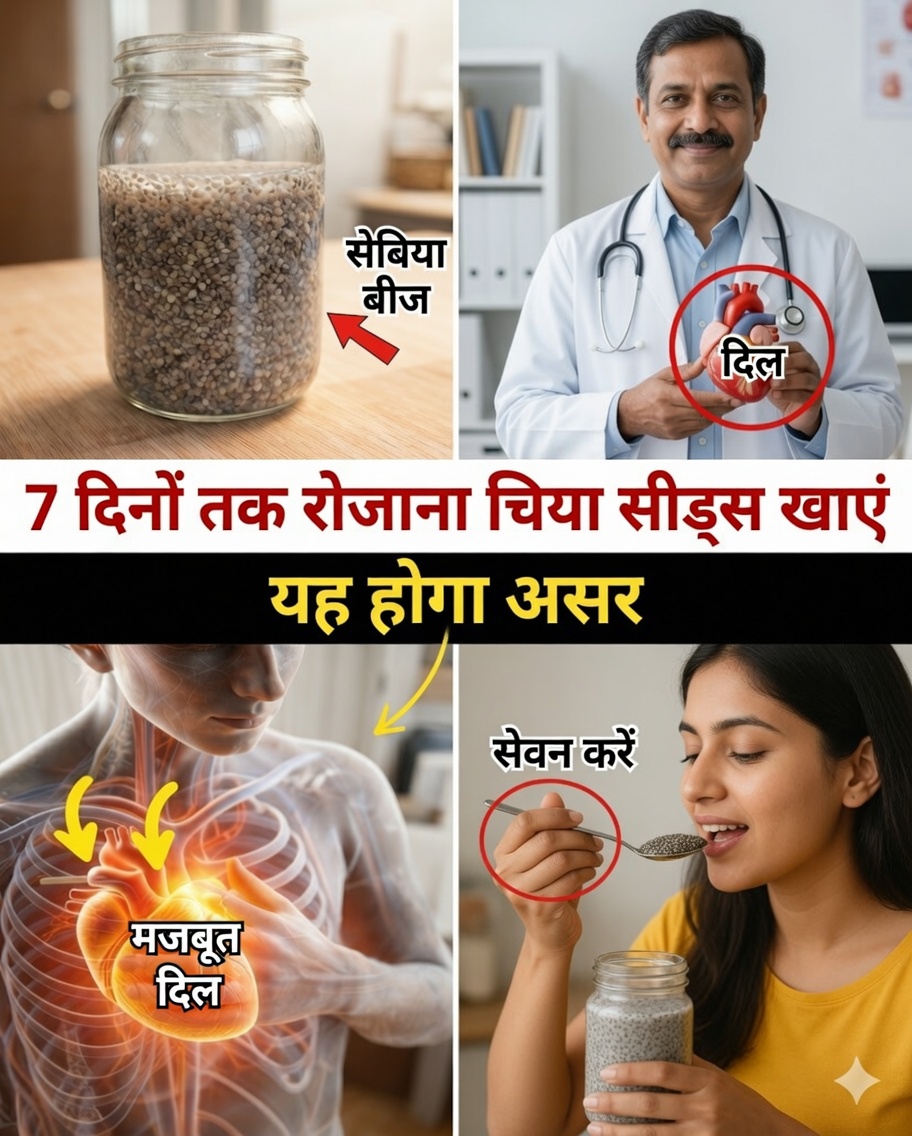 7 दिनों तक रोज़ चिया के बीज खाने पर वास्तव में क्या होता है (यह वैसा नहीं है जैसा अधिकांश लोग उम्मीद करते हैं)