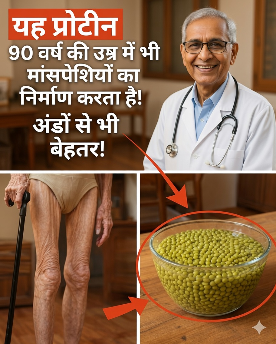 70 के बाद प्रोटीन-समृद्ध बीजों के साथ ताकत वापस पाएँ: एक सरल और यथार्थवादी योजना