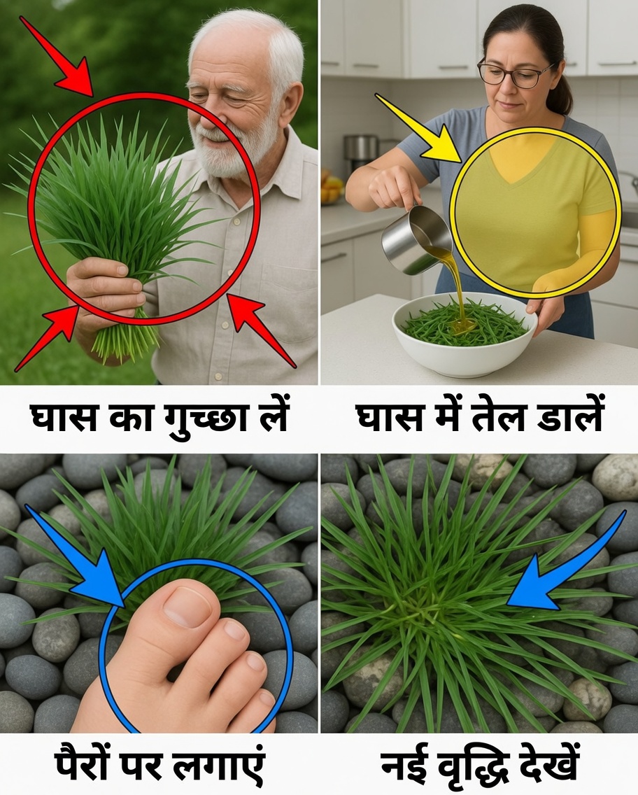 कैपिम-पे-दे-गालिन्हा: आम खरपतवार से प्राकृतिक उपचार के खजाने तक