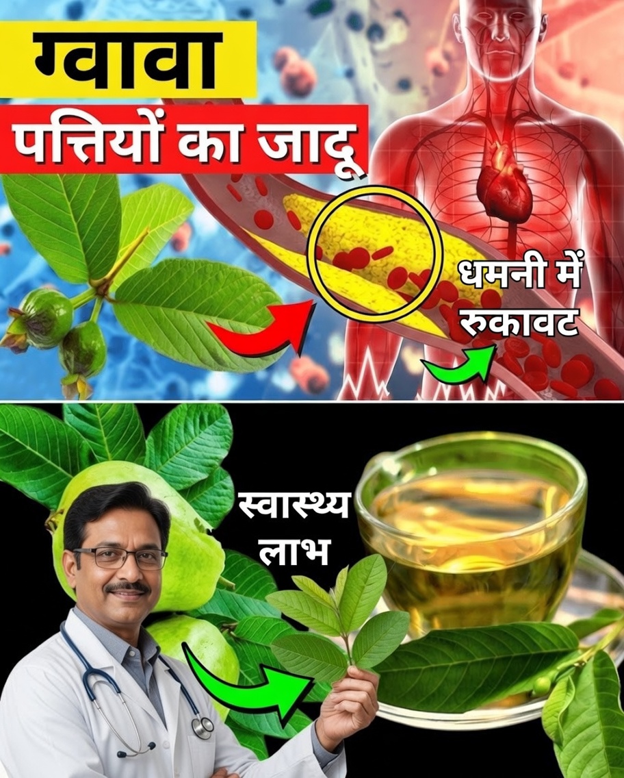बेहतर स्वास्थ्य के लिए सप्ताह में दो बार अमरूद के पत्तों की चाय पीने के 17 शक्तिशाली कारण