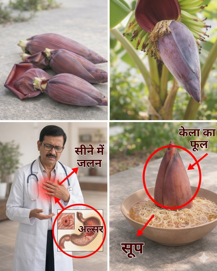 स्वास्थ्य के लिए केले के फूल के 7 चौंकाने वाले फायदे जो आपको जानने चाहिए
